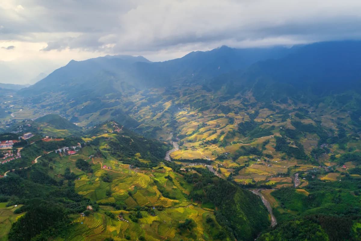 Aerial view of Rice fields on terraced of Muong Hoa valley