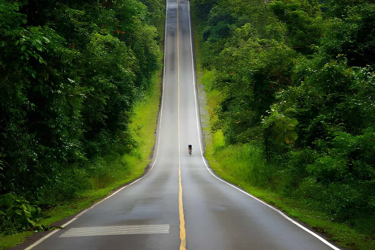 Khao Yai National Park