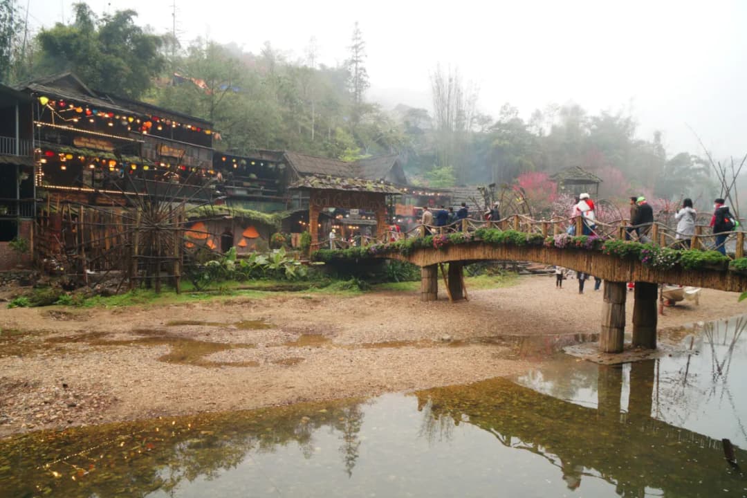 Muong Hoa Valley View