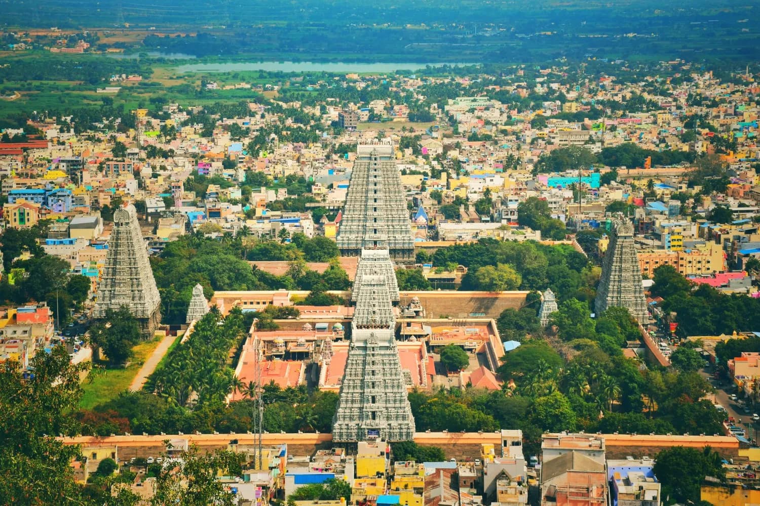 attractionImage