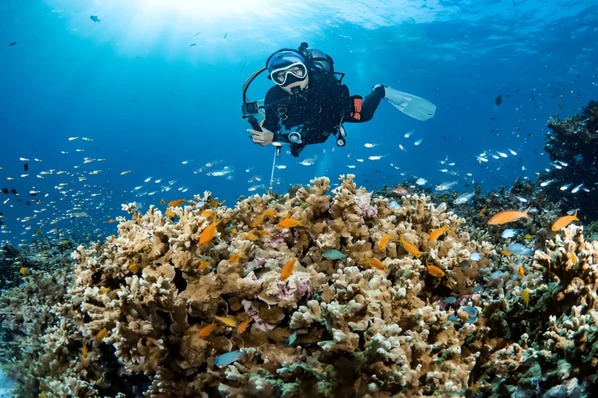 Scuba Diving in the Andaman