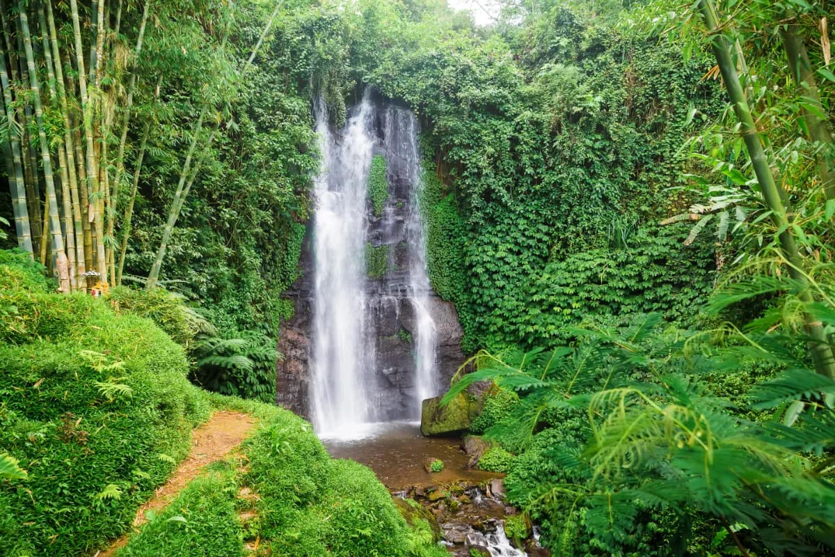 Waterfall in the tropical jungle on Bali