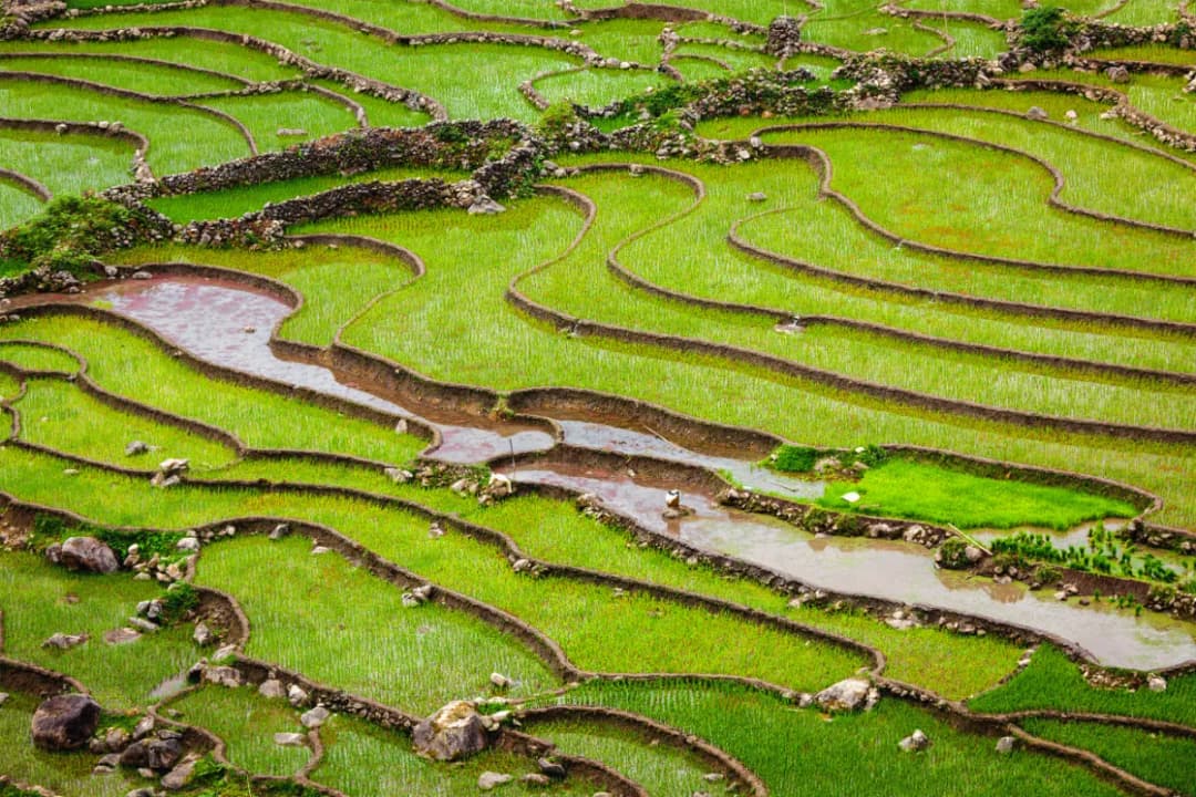 Ta Van Village