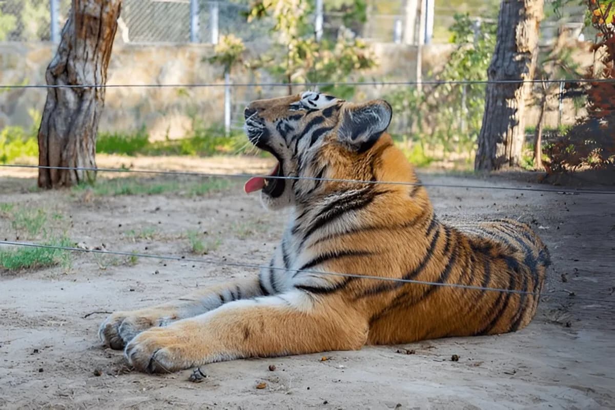 Baku Zoological Park