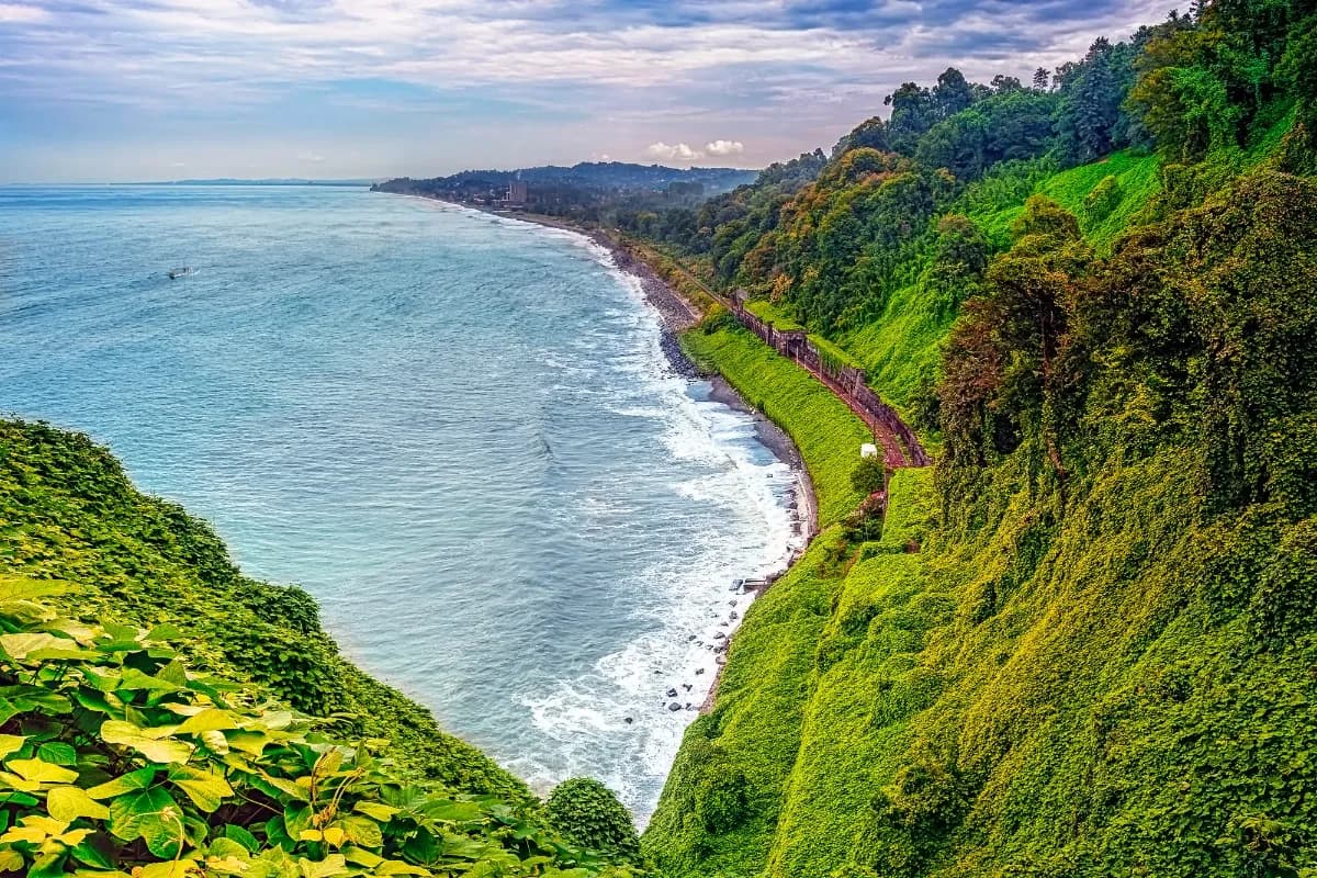 Batumi Botanical Garden