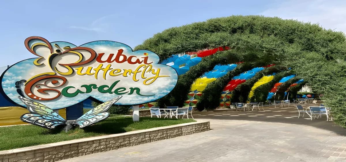 Dubai Butterfly Garden