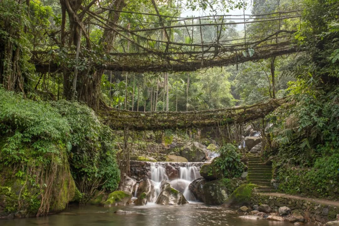 Double Decker Living Root Bridge Trek