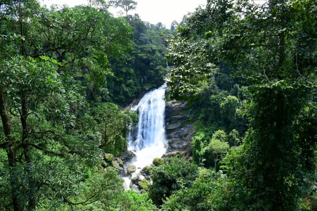 Rainbow Falls Extension Trek