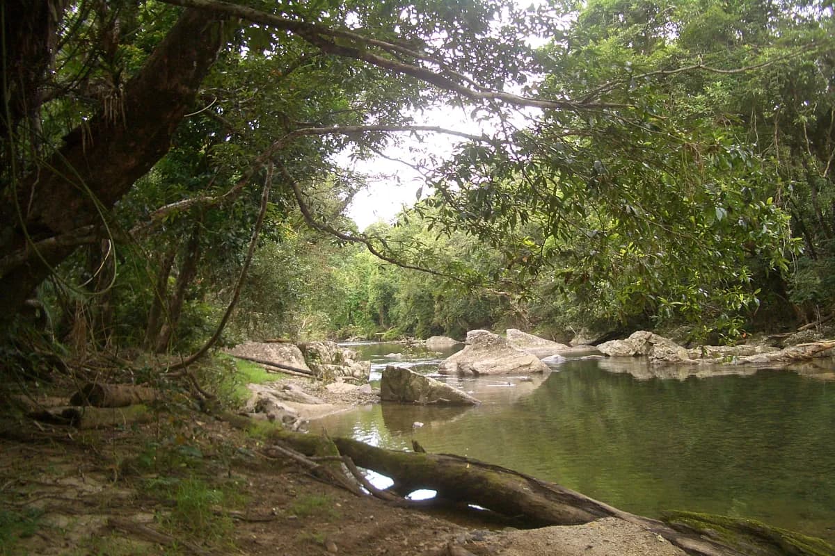 tully river