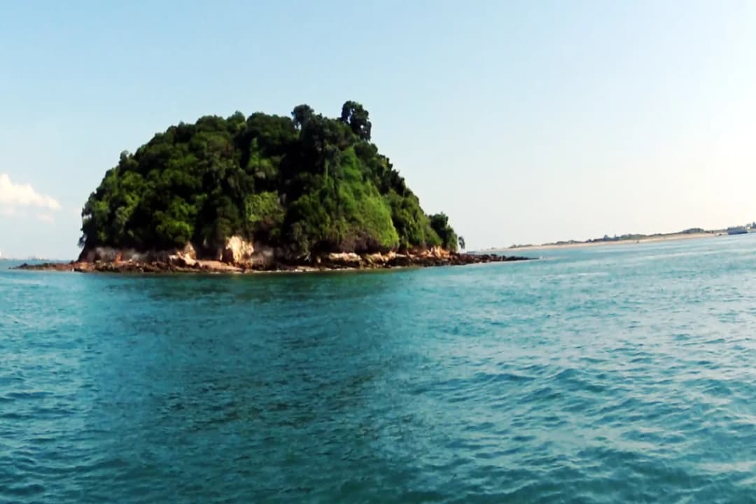 Pulau Jong