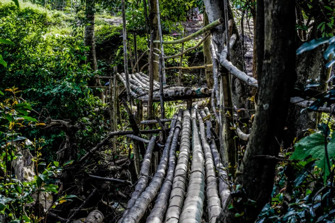 The Hand-Woven Bamboo Bridge
