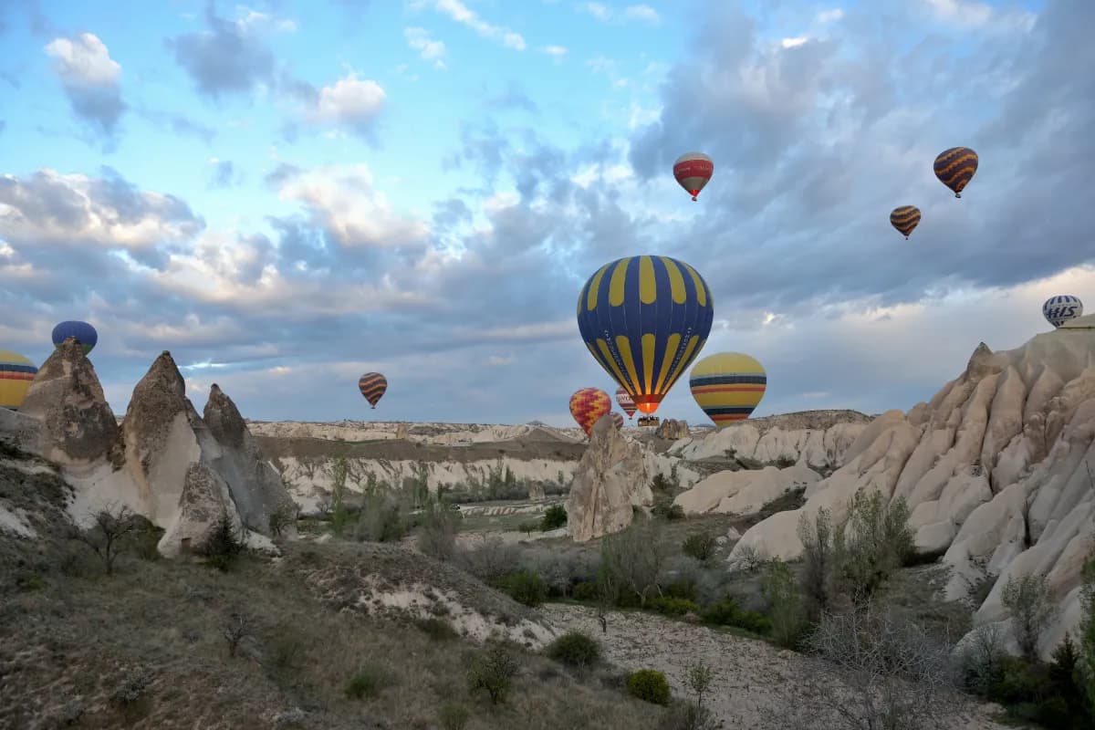 Hot Air Balloon Ride at Sunrise