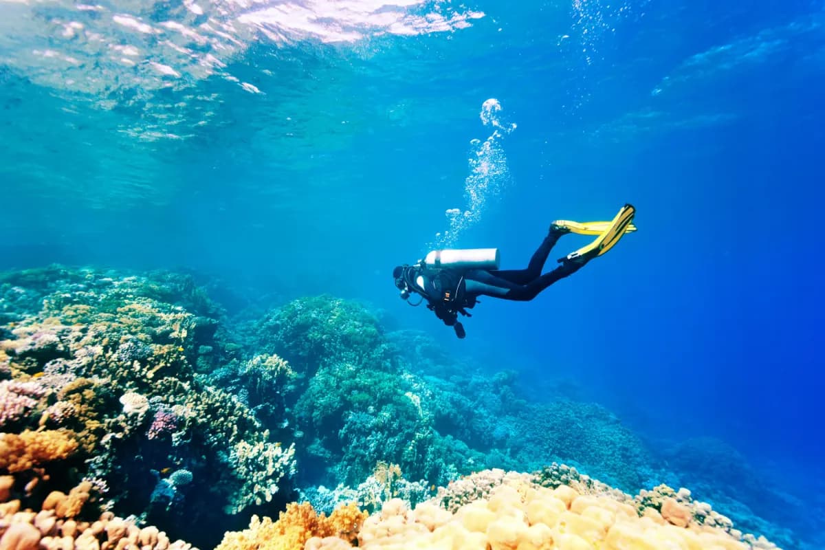 Scuba Diving in Thailand