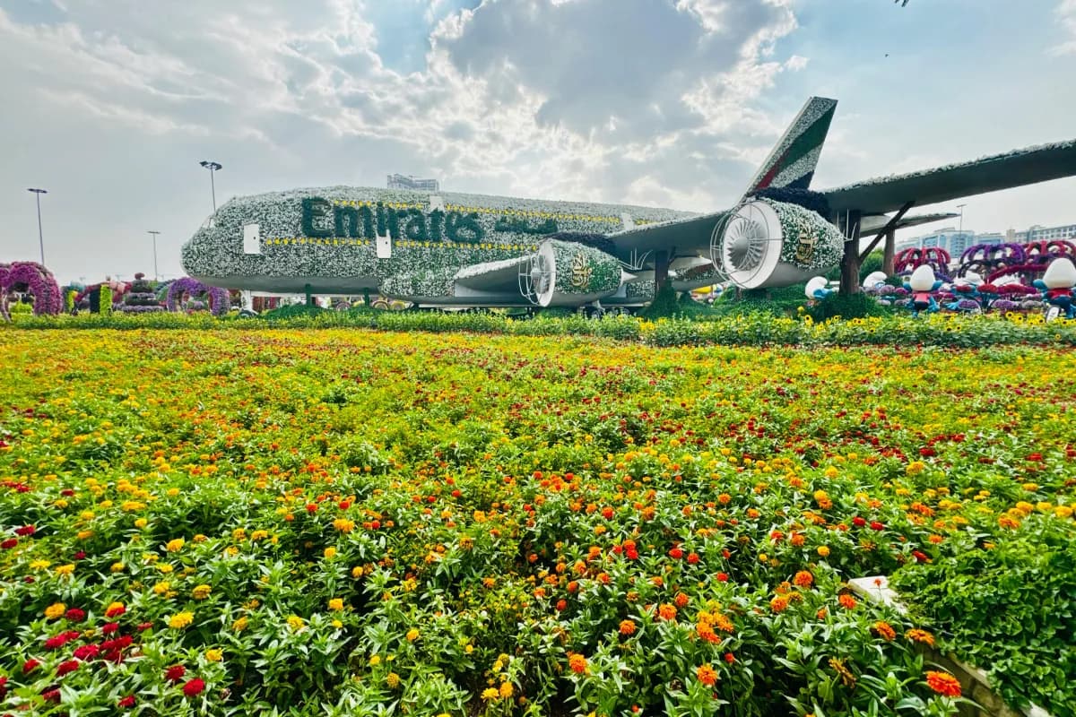Miracle Garden