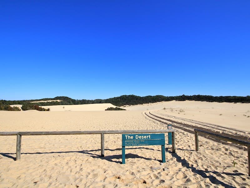 Dessert Safari Tour with sand tobogganing
