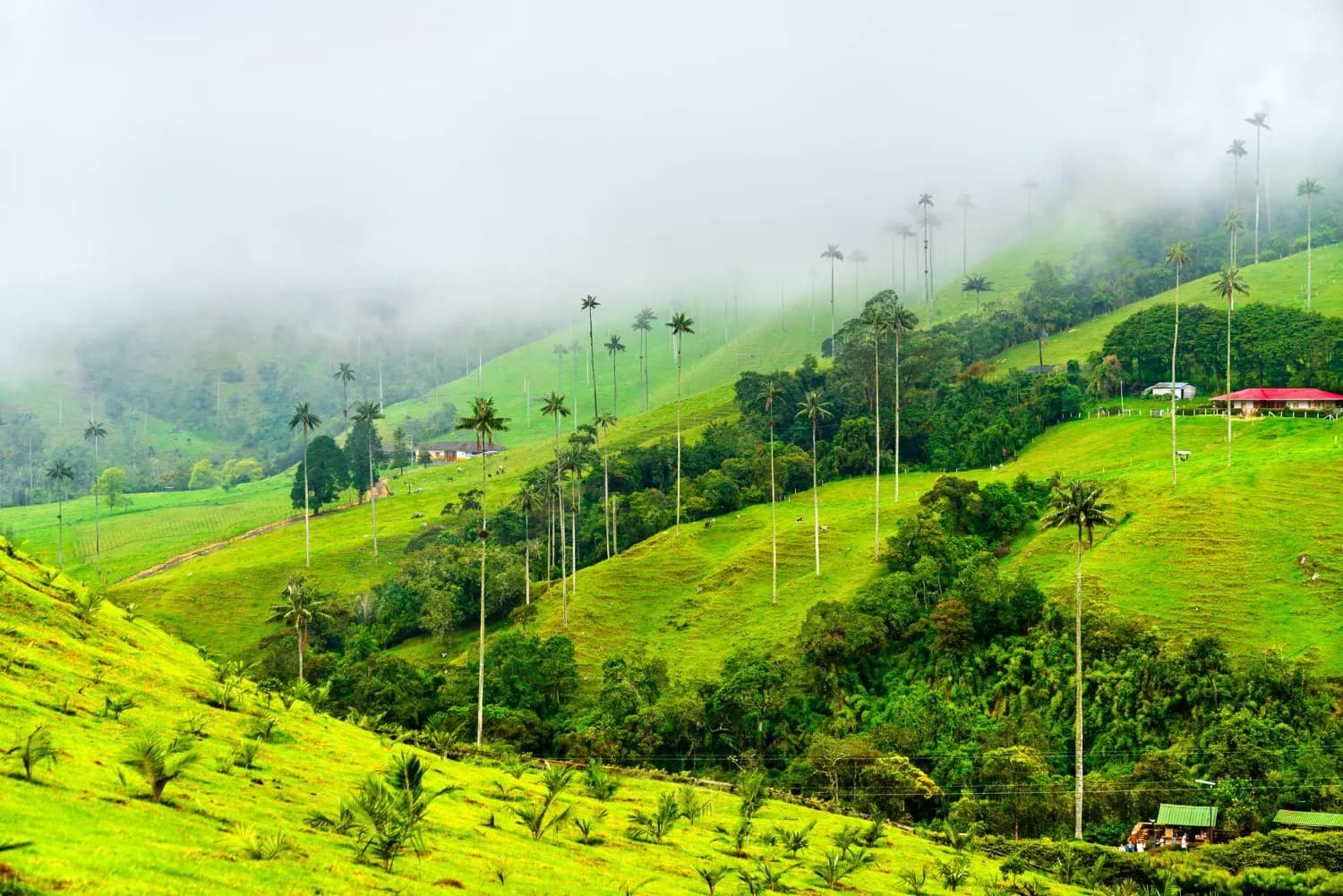 Kerala Tropical Escape