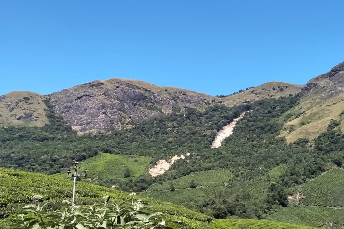 Pettimudi Hill Top
