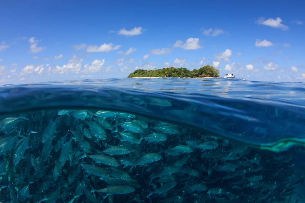Sipadan Island