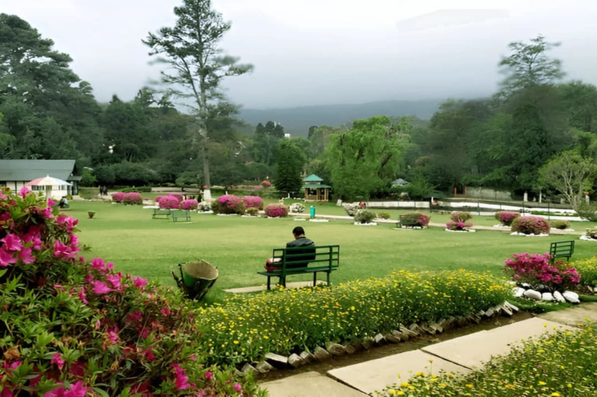 Lady Hydari Park View
