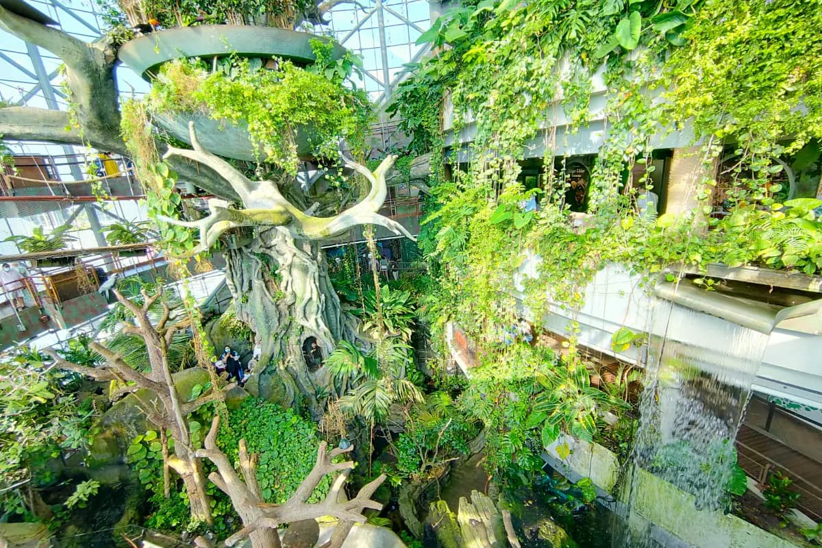 The Green Planet