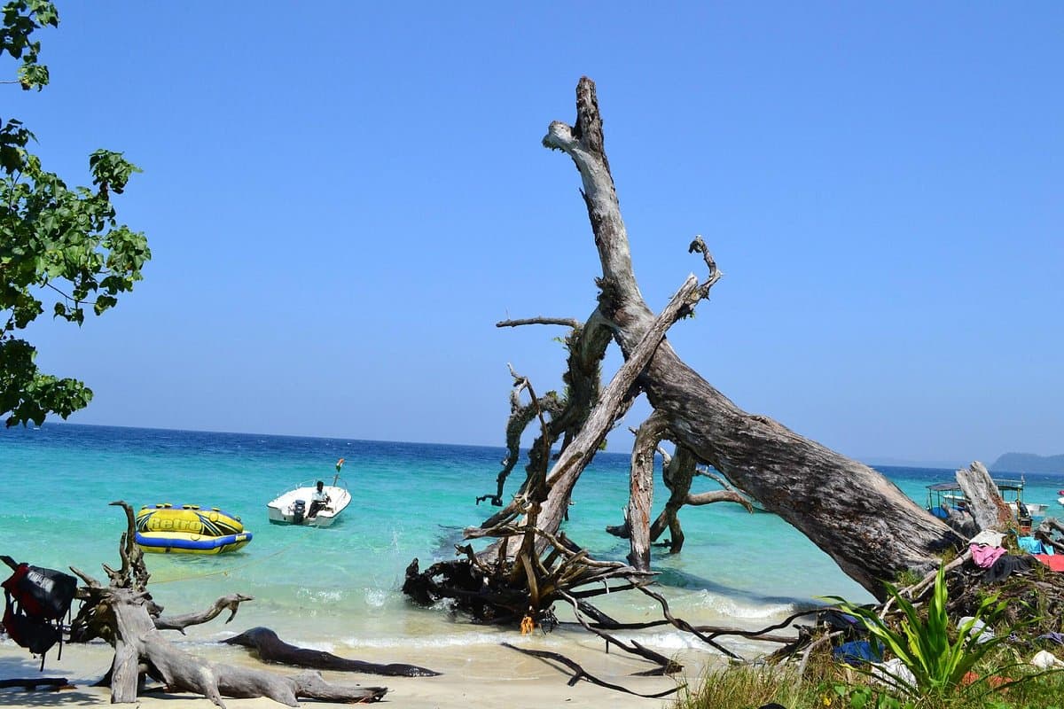 Elephant Beach