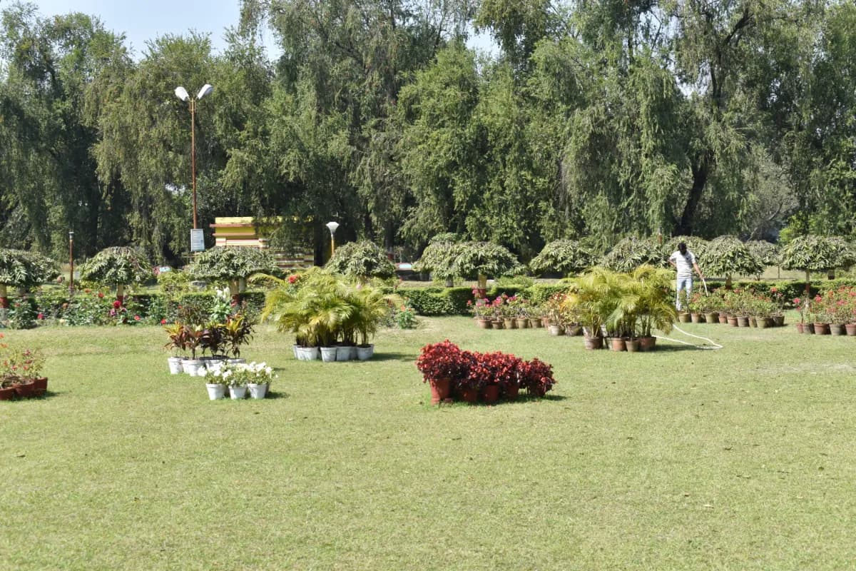 Person watering plants at Lum Nehru Park