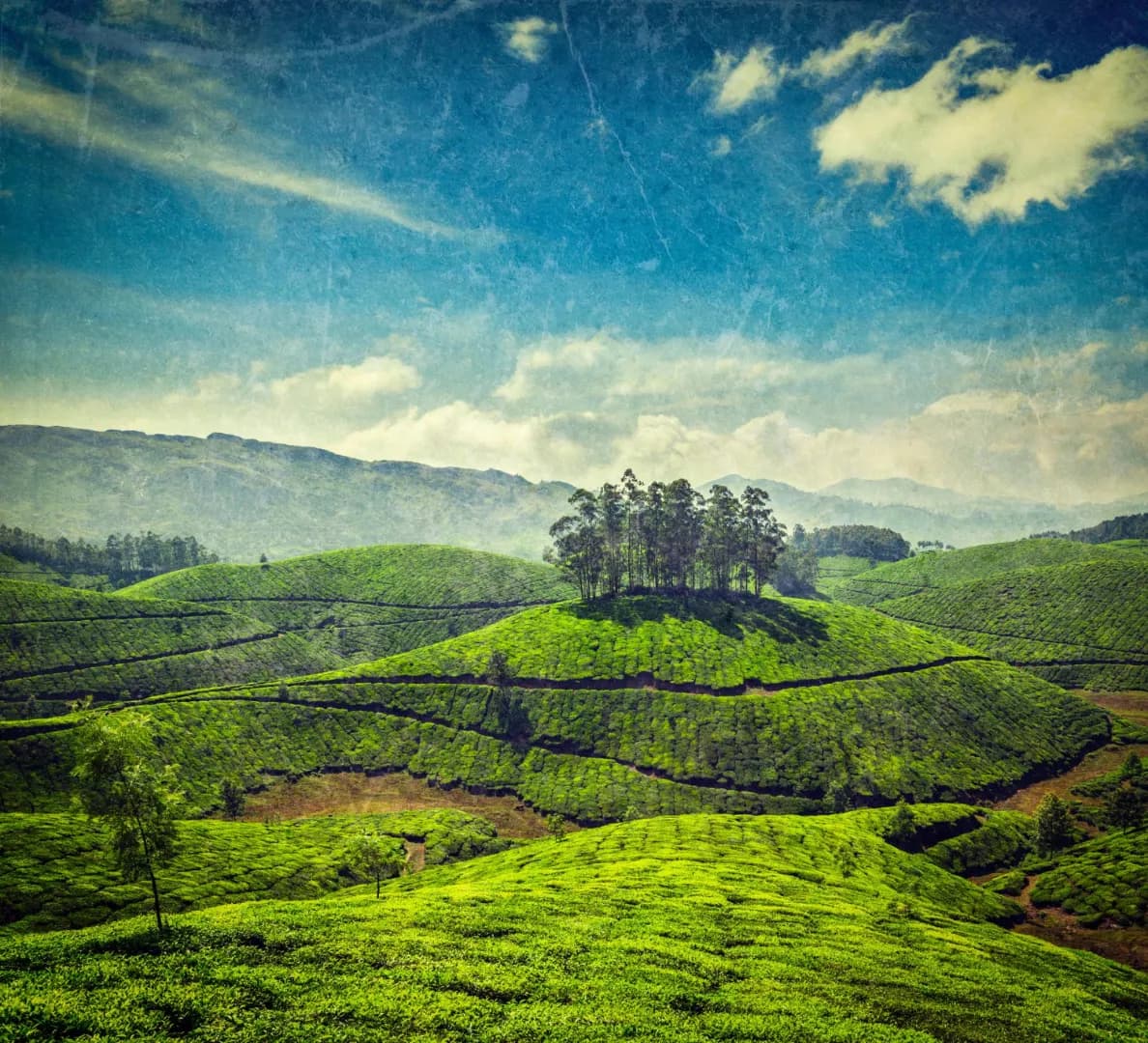 Short Trip to Munnar