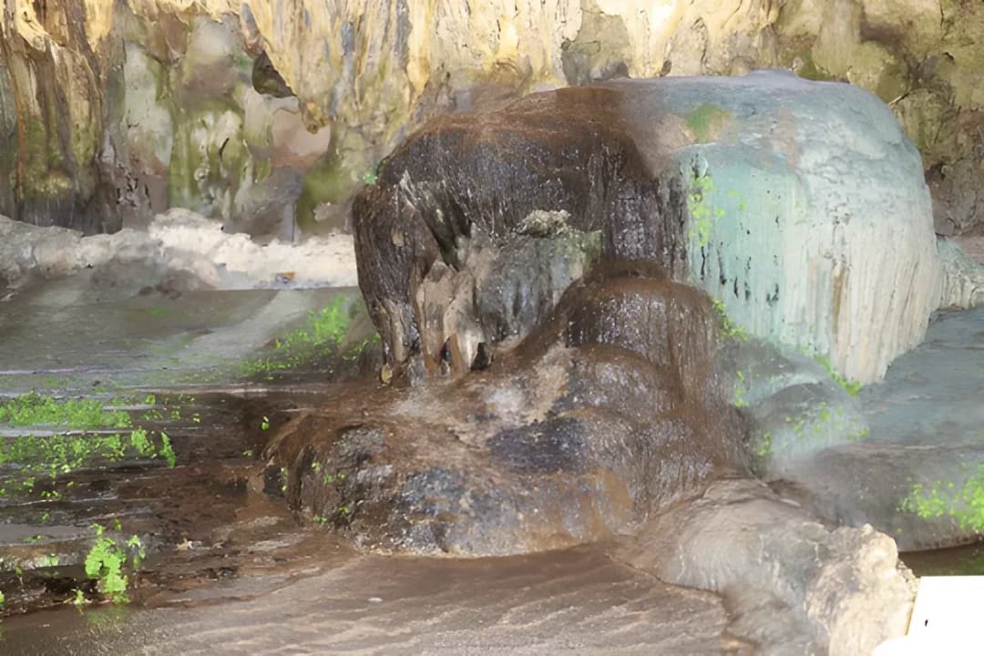 Animal-Shaped Rocks