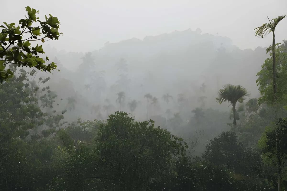 Rainfall in Kerala