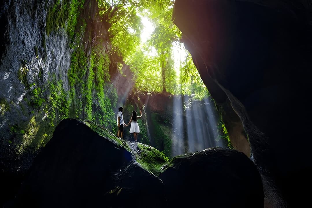 Peaceful Nature Escape