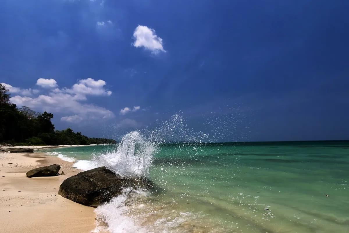 Elephant Beach