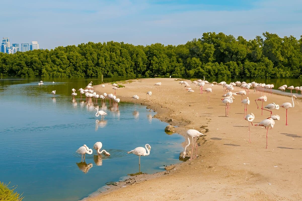 Ras Al Khor Dubai