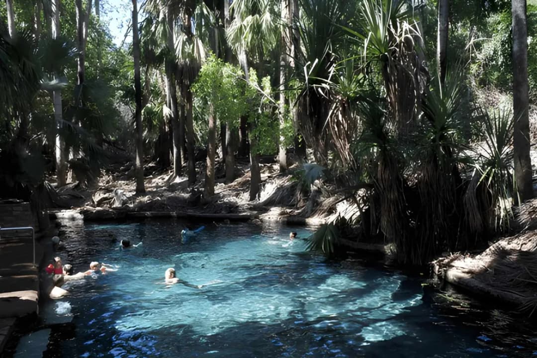Mataranka Thermal Pool