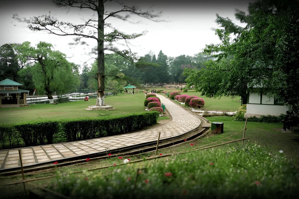 Lady Hydari Park View
