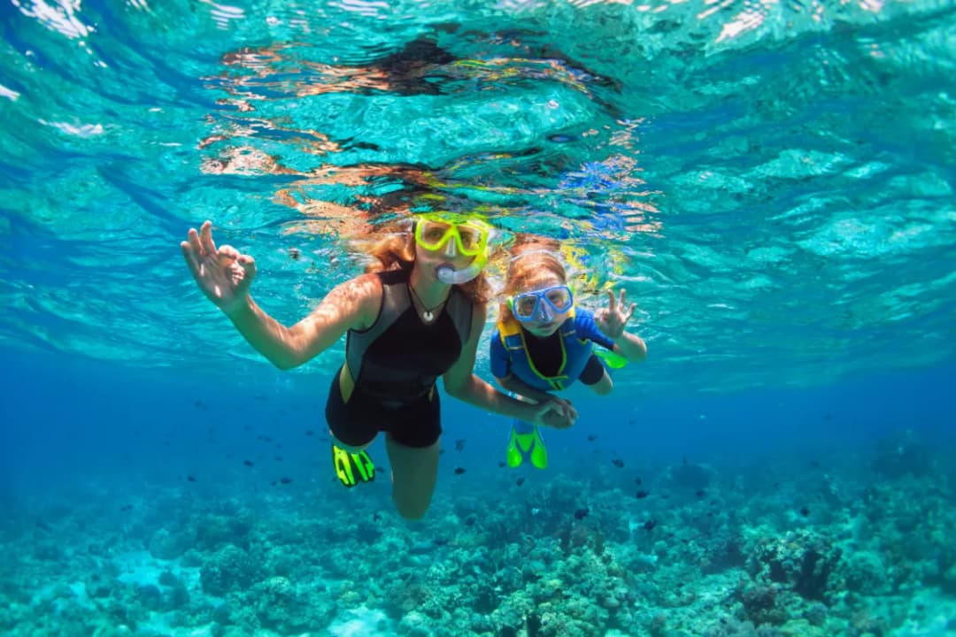 Scuba Diving & Snorkeling