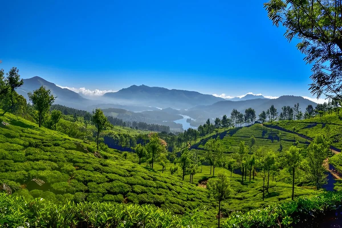 Munnar Hill Station