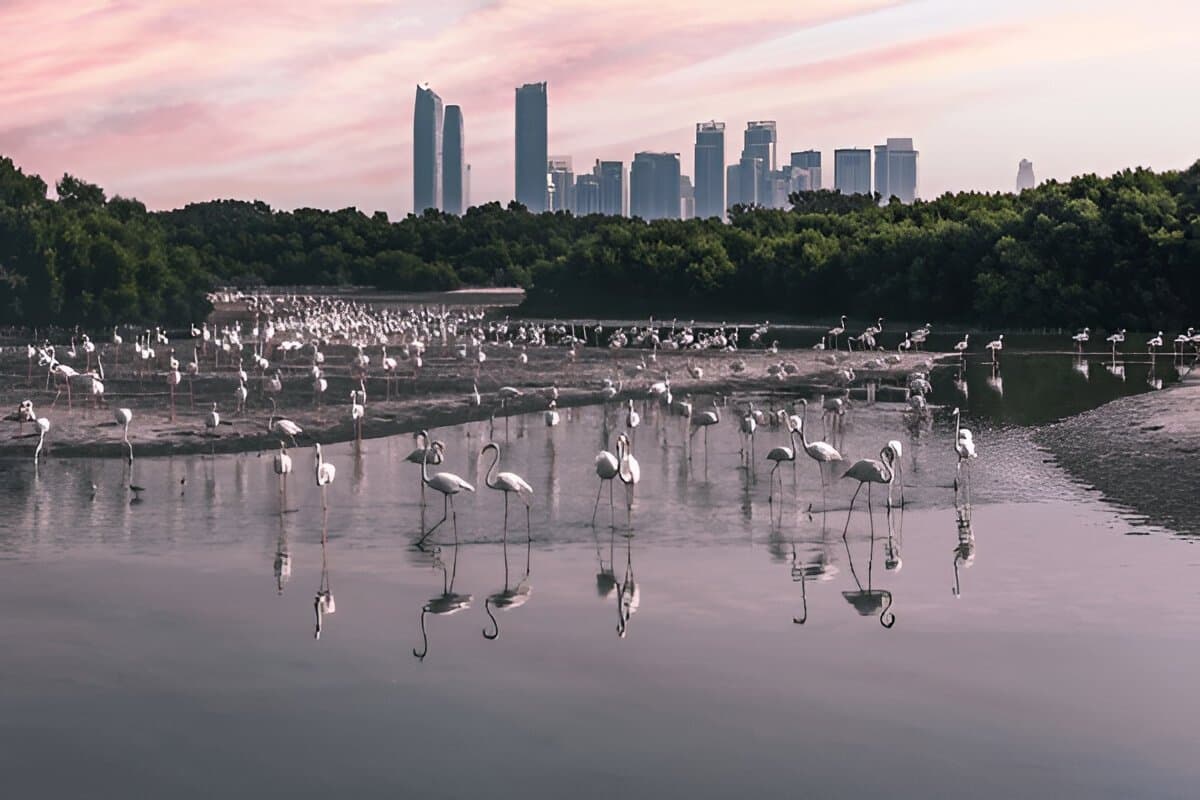 Ras Al Khor Dubai