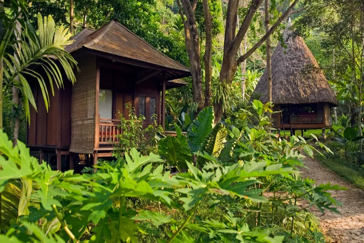 Barefoot at Havelock