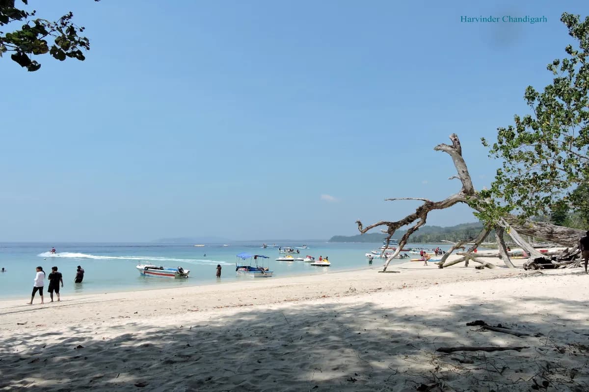 Elephant Beach