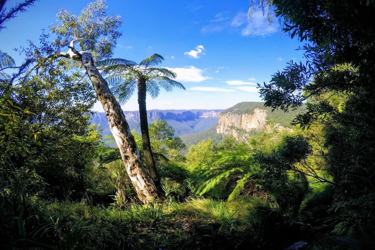 Blue Mountains National Park
