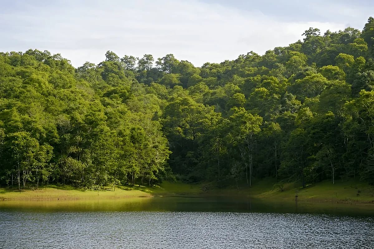 Periyar Lake