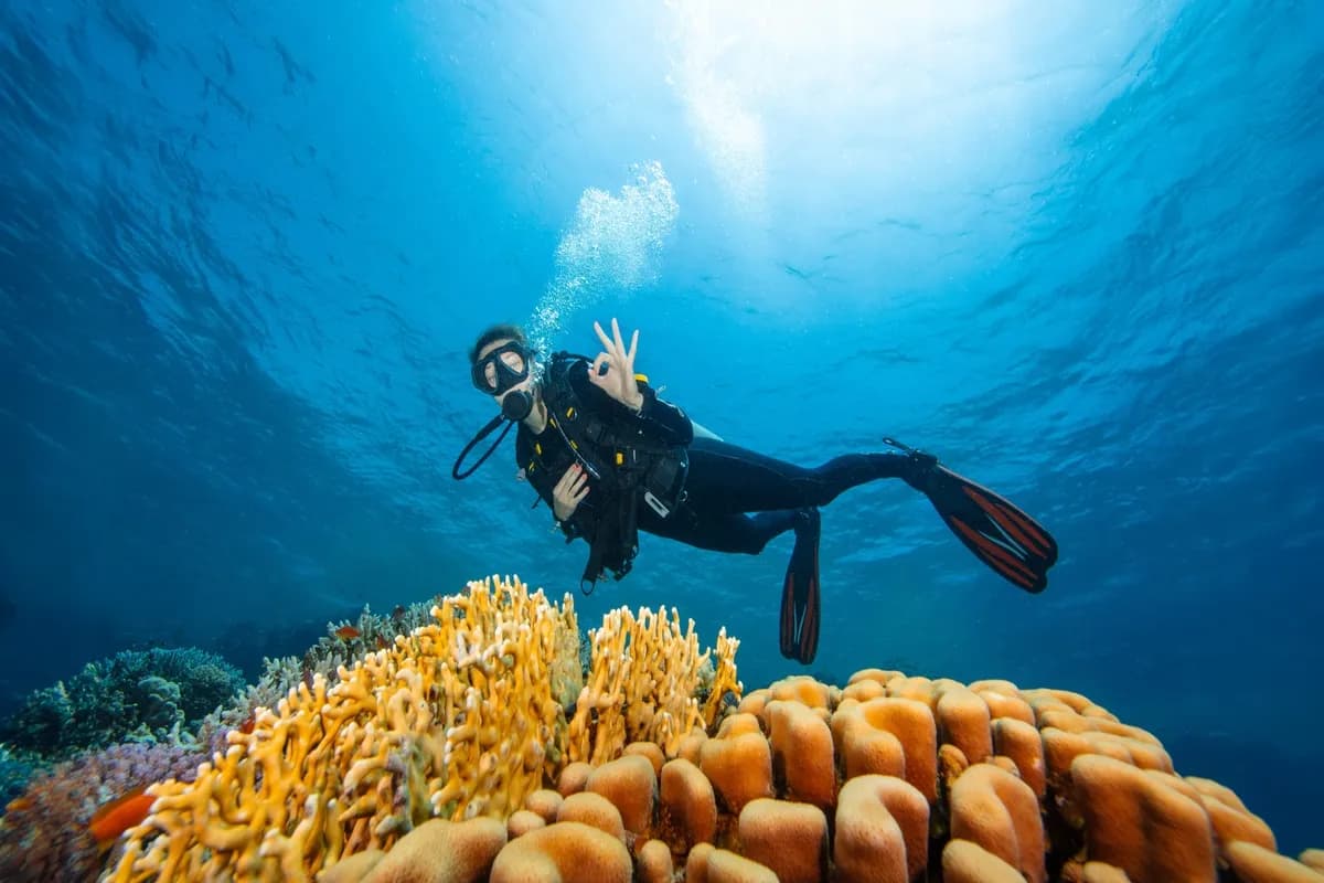 Scuba Diving