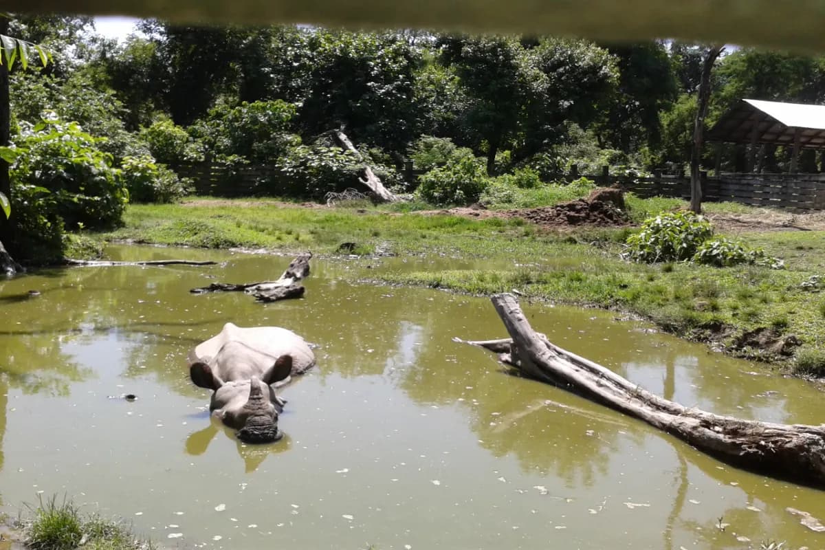 bardia national park