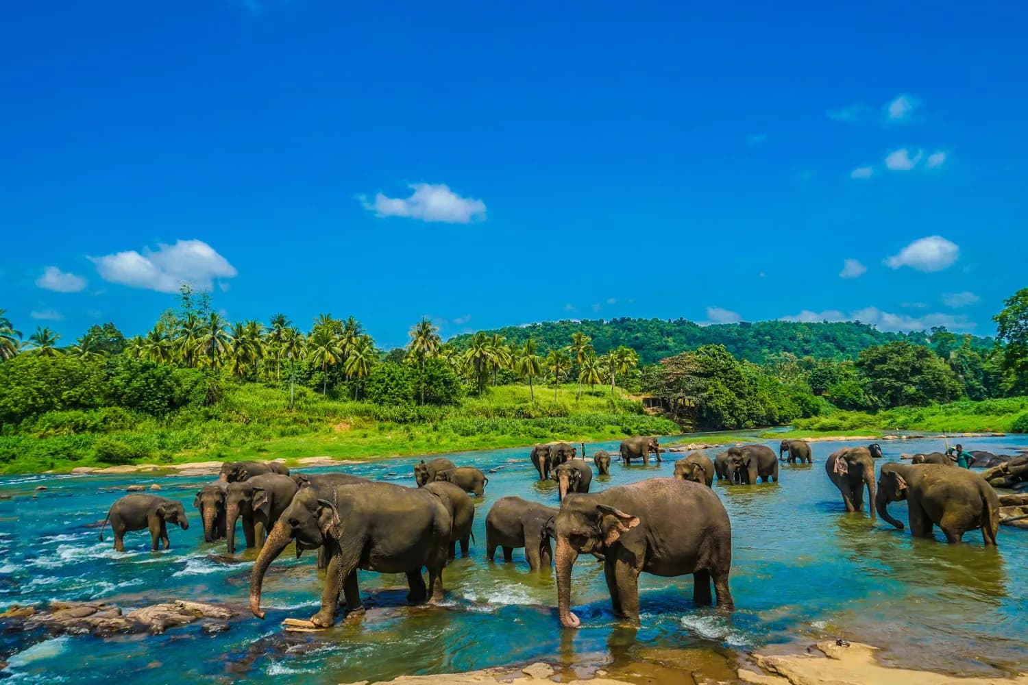 Spectacular Sri Lanka