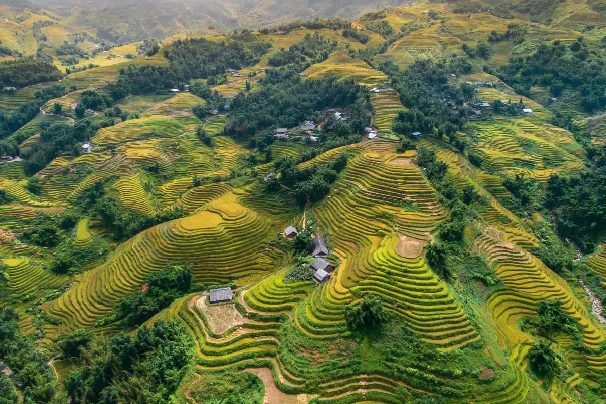 Beautiful step of rice terrace paddle field in sunset and dawn at Muong Hoa valley, sapa