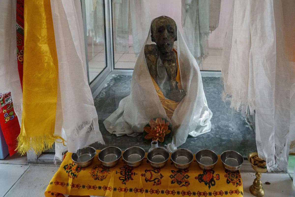 Mummified Lama