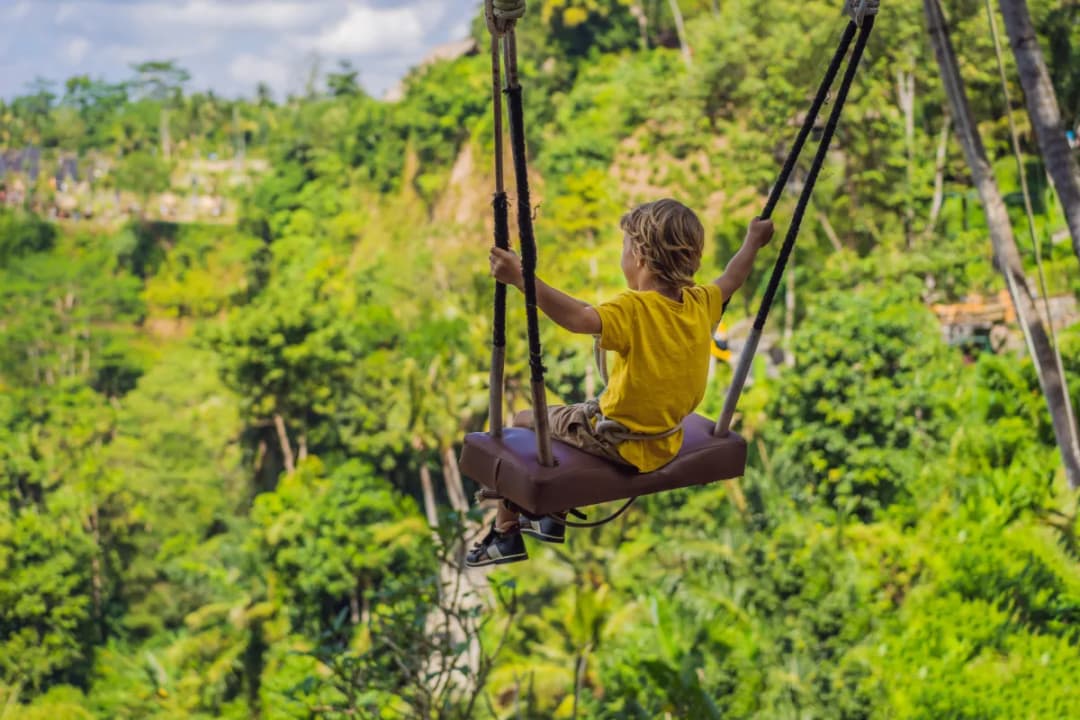 The Original Bali Swing