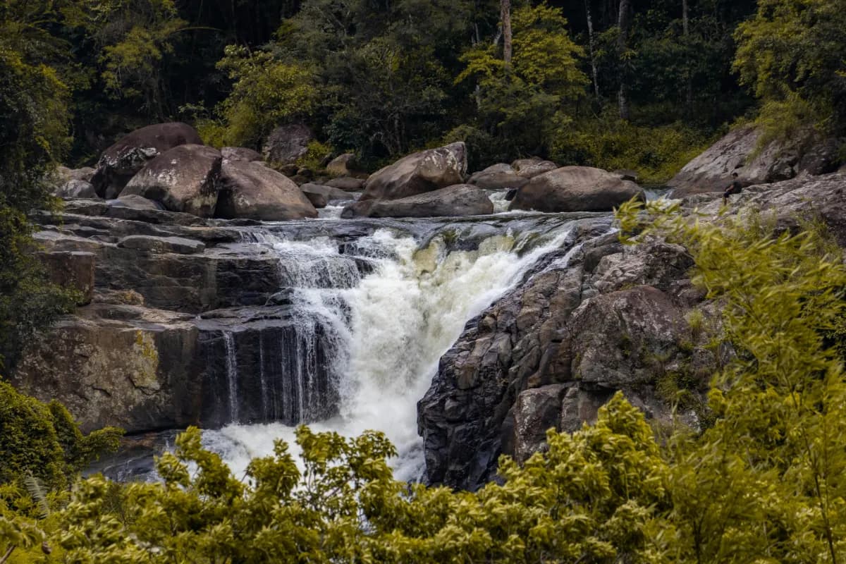 tully river