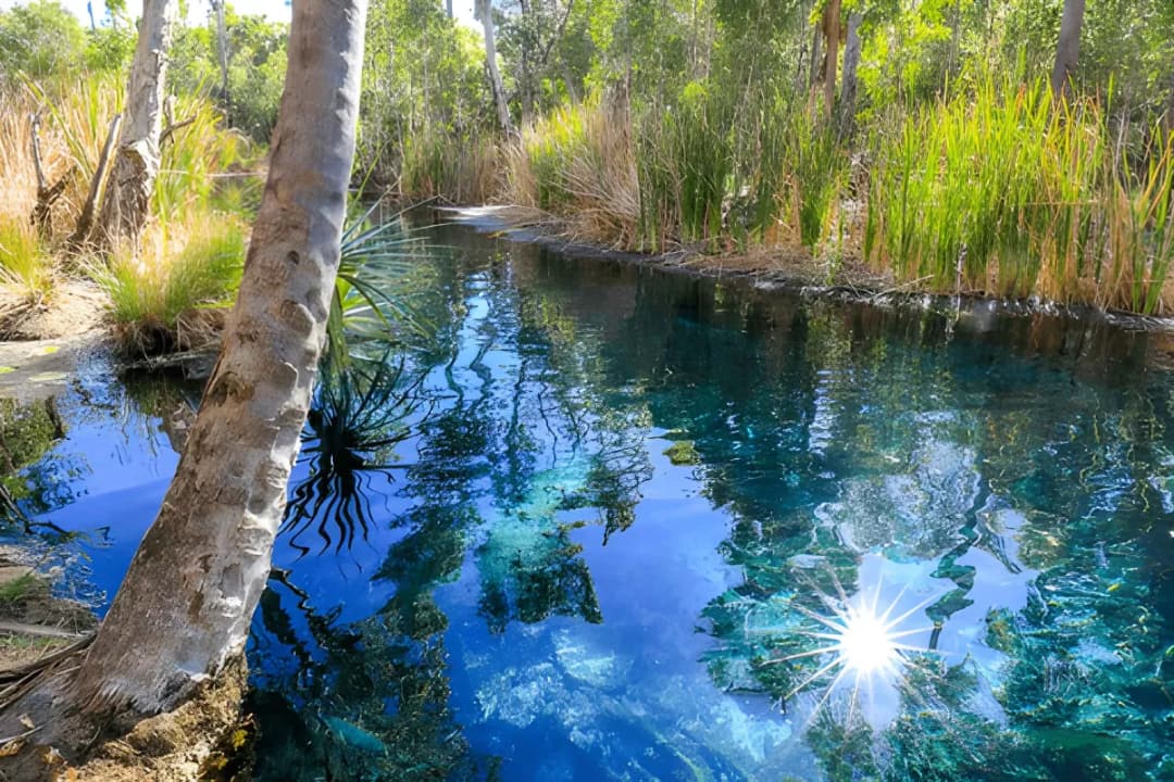 Rainbow Springs