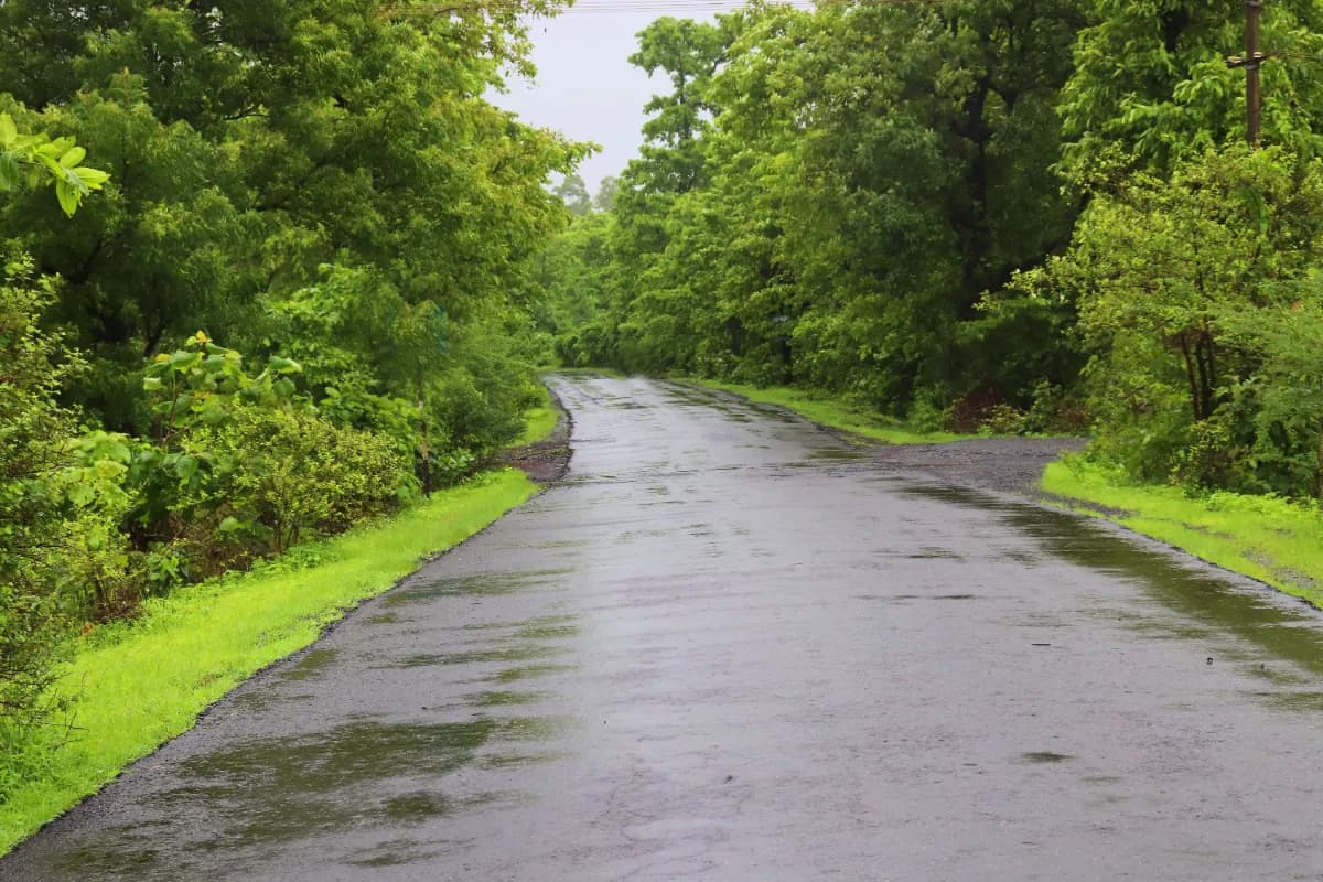 Road Trip During Monsoon